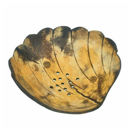 Mýdlenka z kokosové skořápky ve tvaru mušle