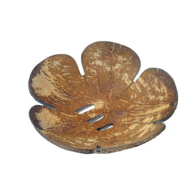 Přírodní mýdlenka z kokosové skořápky