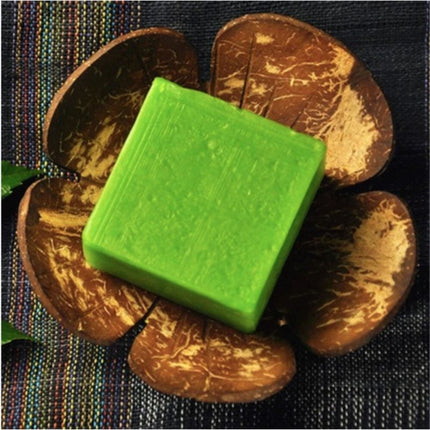 Přírodní mýdlenka z kokosové skořápky